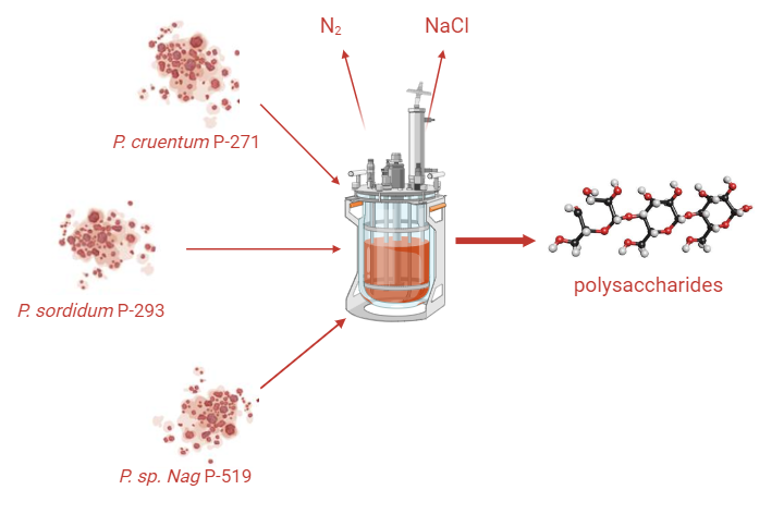 Graphical Abstract